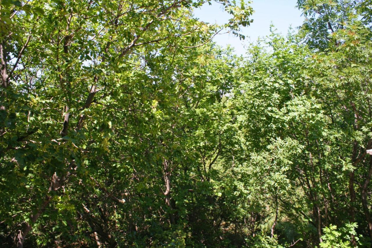 Apartments With A Parking Space Rovanjska, Paklenica - 6209 المظهر الخارجي الصورة
